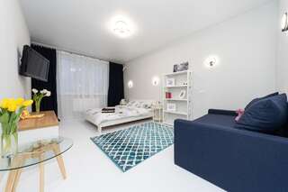 Апартаменты Уютная 1 комнатная квартира Люкс на Теремках Киев Улучшенные апартаменты-10