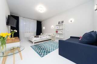 Апартаменты Уютная 1 комнатная квартира Люкс на Теремках Киев Улучшенные апартаменты-28